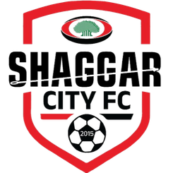 Lideta Sub City Women